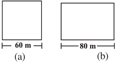 area-of2d-shape-wp-q1 area-of2d-shape-wp-q1