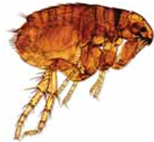 conversion-between-scientific-notation-q2.png conversion-between-scientific-notation-q2.png