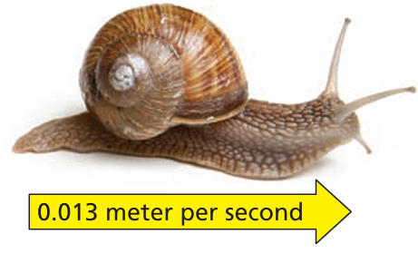 conversion-of-unit-length-q1 conversion-of-unit-length-q1
