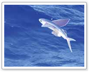 converting-between-vertex-standard-form-q1