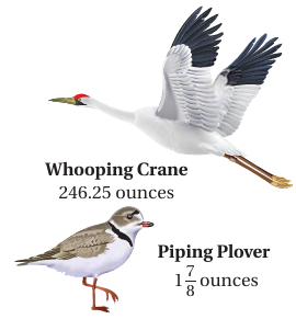converting-decimal-to-fraction-q1 converting-decimal-to-fraction-q1