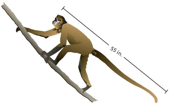 expressing-the-quantities-as-ratio-q2.png expressing-the-quantities-as-ratio-q2.png