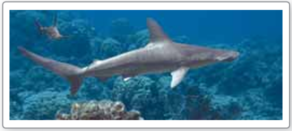 inverse-properties-of-log-q3.png inverse-properties-of-log-q3.png