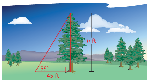 labelling-right-triangle-q1