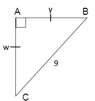 pro-in-special-right-triangle-s10