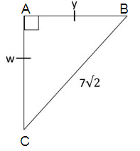 pro-in-special-right-triangle-s6