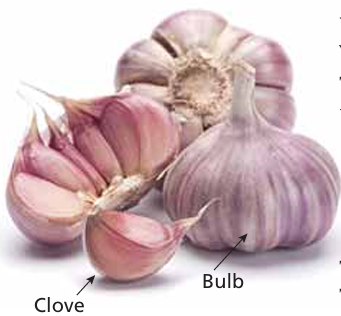 ration-from-word-problem-q1 ration-from-word-problem-q1