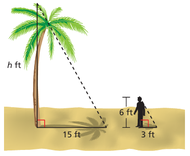 similar-figures-wp-q1