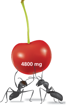 solving-equation-with-decimal-q2.png solving-equation-with-decimal-q2.png