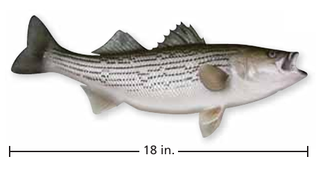 translating-phrase-into-equation-q3.png translating-phrase-into-equation-q3.png