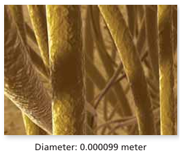 writing-numbers-in-scientific-notation-q1