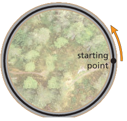 x-and-y-intercepts-absolute-function-q1