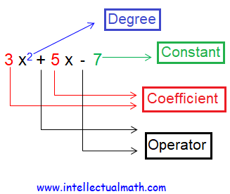 definition-of-polynomial.png