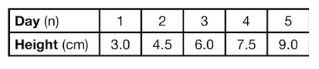 modelling-with-linear-function-q5.png