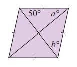quad-q10